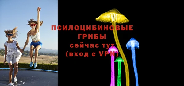 сатива Алексеевка