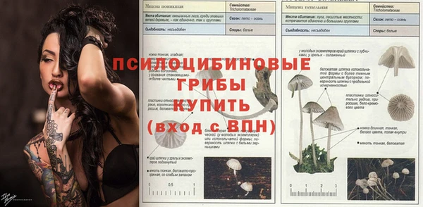 бошки Алексин